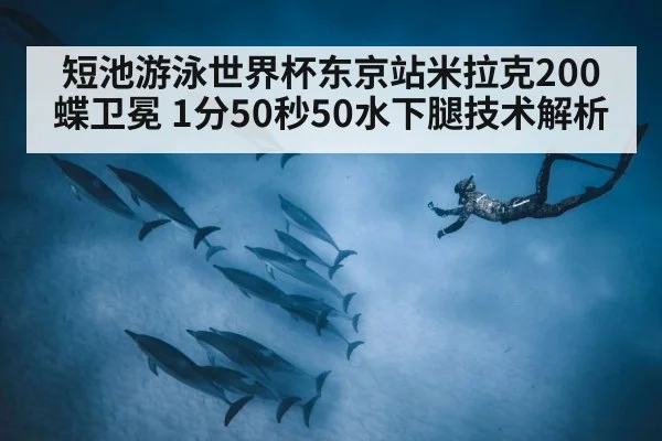 短池游泳世界杯东京站米拉克200蝶卫冕 1分50秒50水下腿技术解析