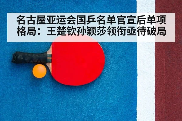 ping pong racket